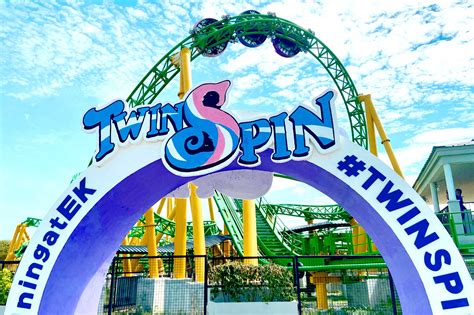 Twin Spin .